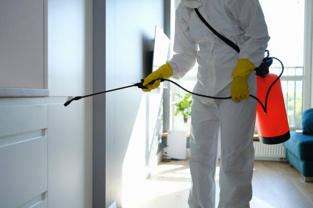 Mold Removal and Inspection in Horseshoe Bay, TX